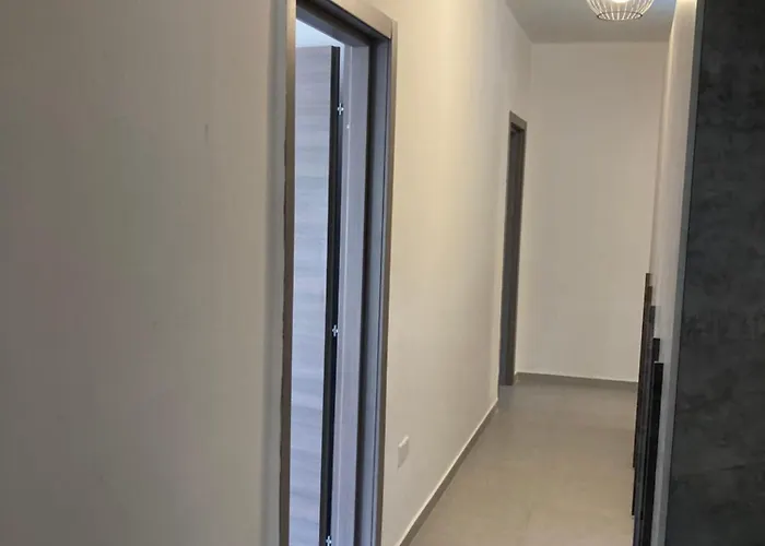 Family & Friends Modern 슬리에마